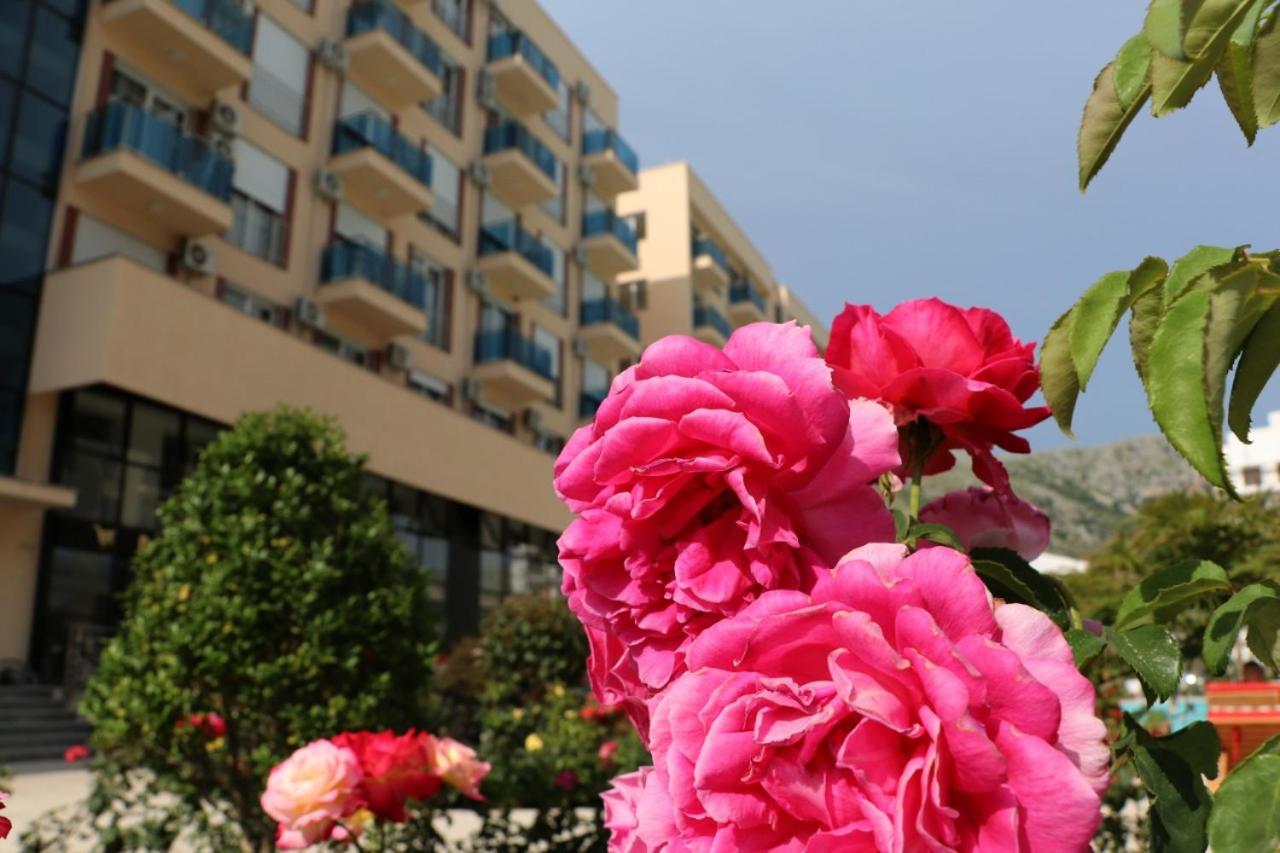 Kimza Apartments - B&B