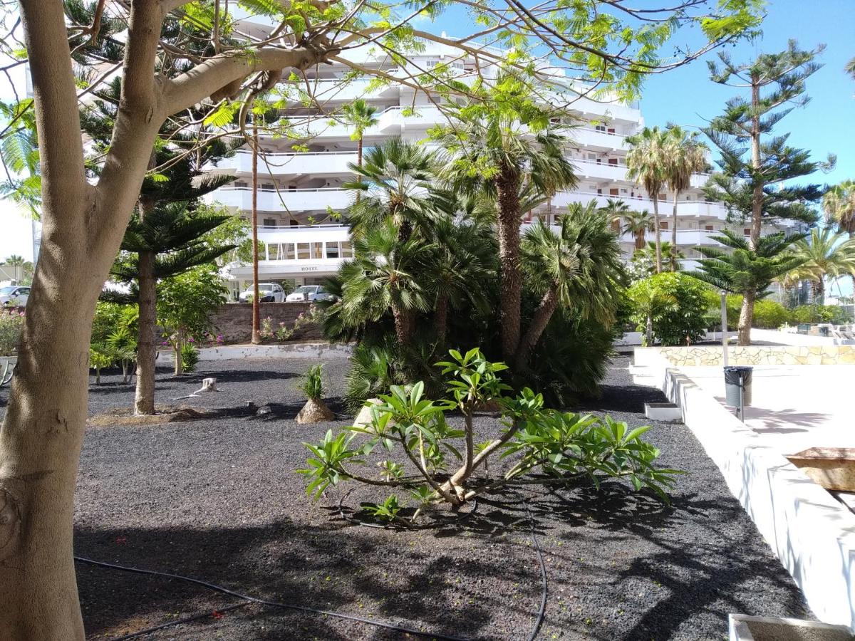 Viña del Mar - B&B