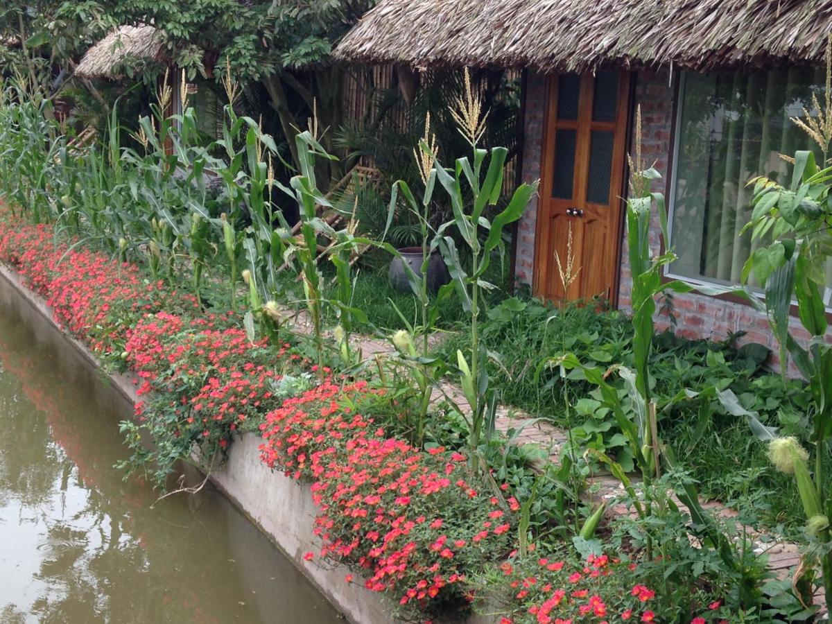 Thai Binh Garden - Bed and Breakfast