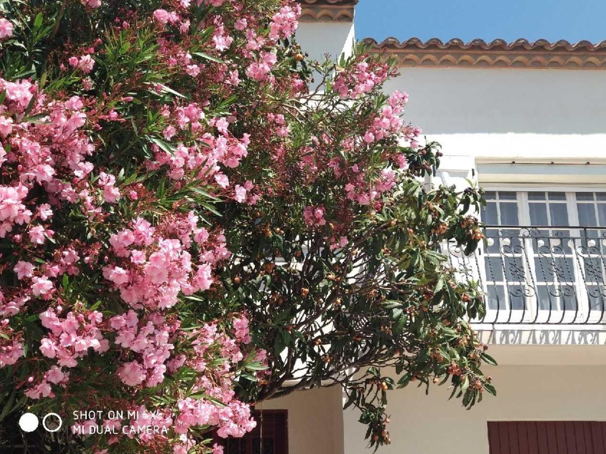 Les lauriers roses - Ferienwohnung Narbonne