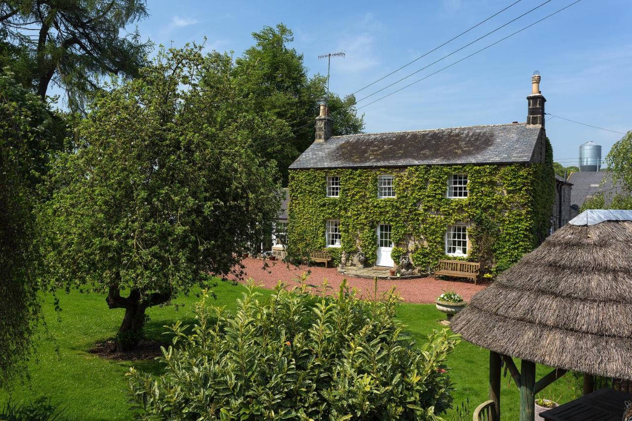 B&B Longhorsley - Thistleyhaugh farmhouse - Bed and Breakfast Longhorsley