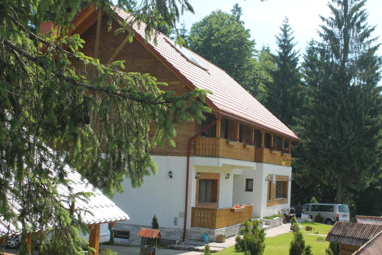 Arnica Montana - Ferienwohnung Arieşeni