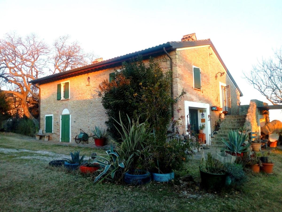 B&B Bertinoro - la cana dolce - Bed and Breakfast Bertinoro