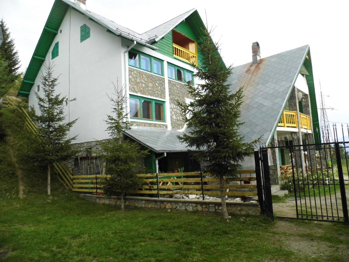 Pensiunea Luminita - B&B