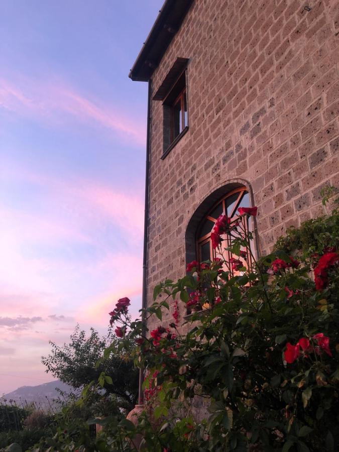 Agriturismo L'Olivara - B&B Piano di Sorrento