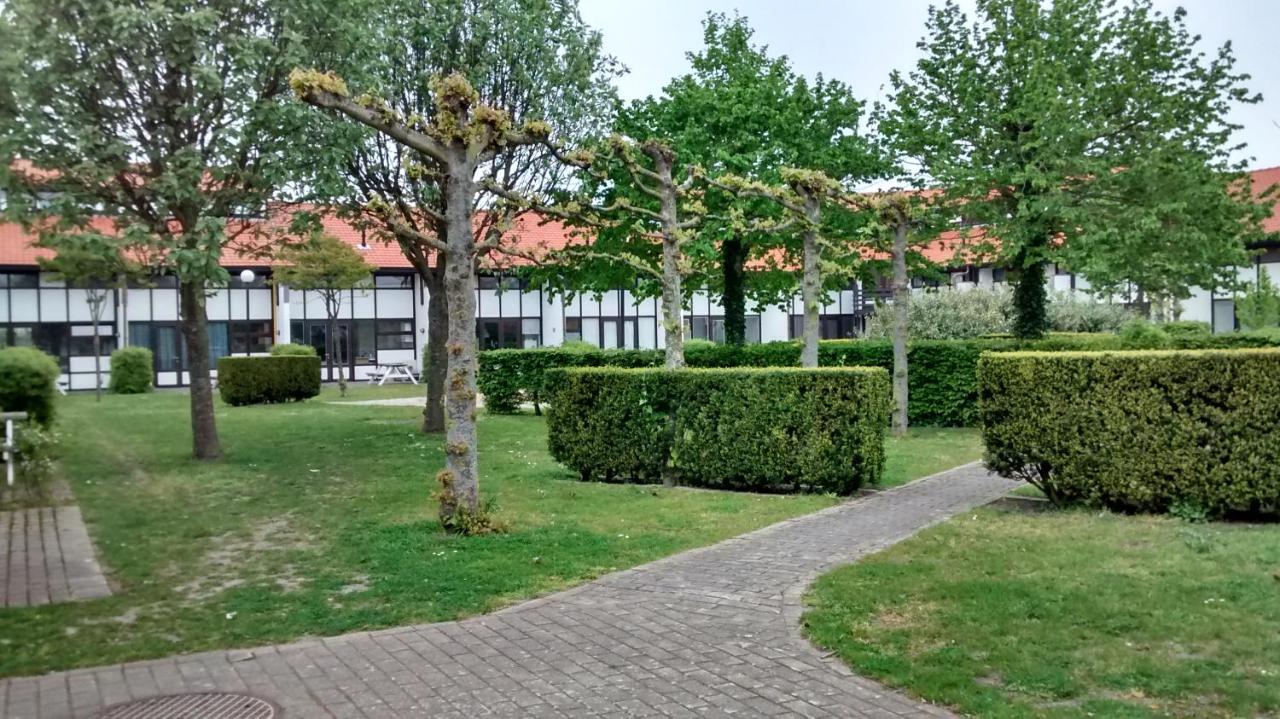 Vakantiewoning De Zandkorrel - B&B