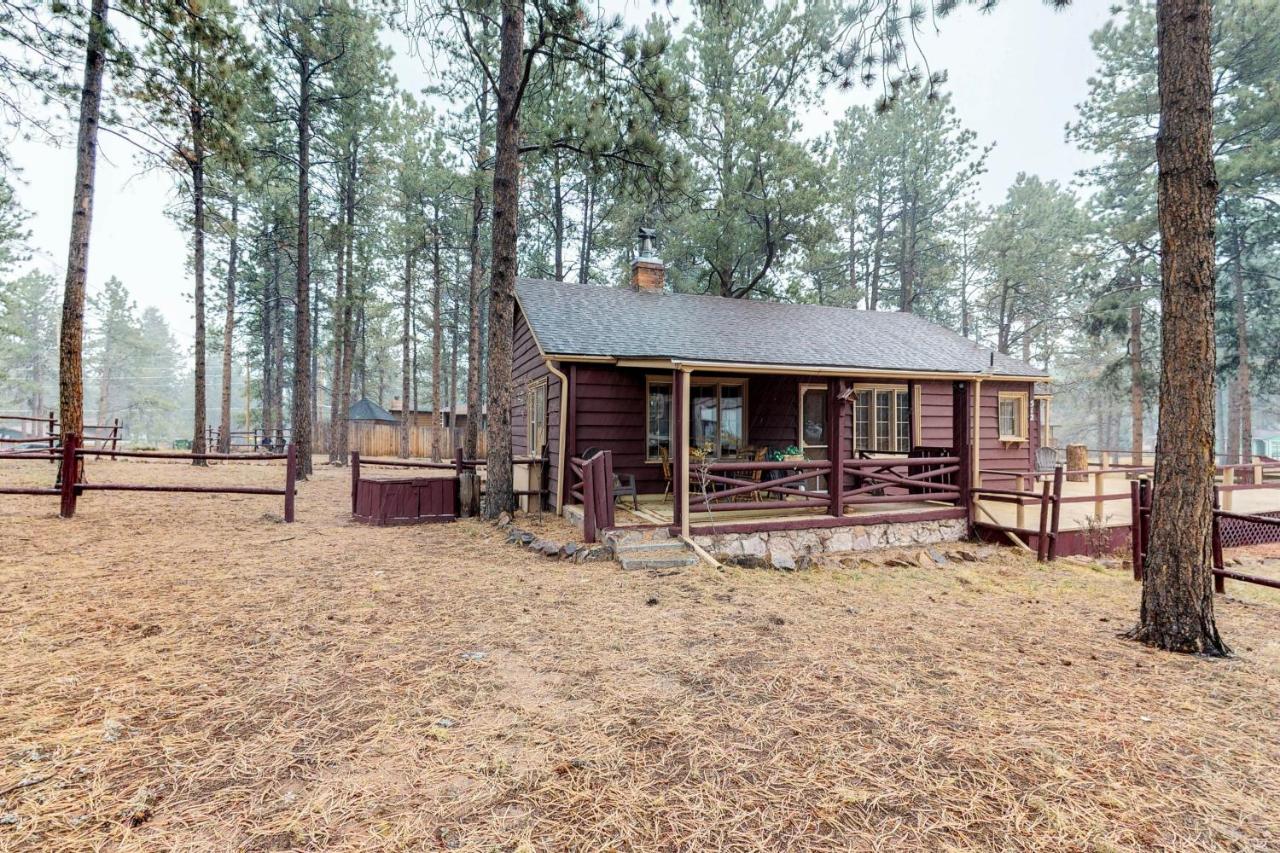 Big Bear Cabin - B&B