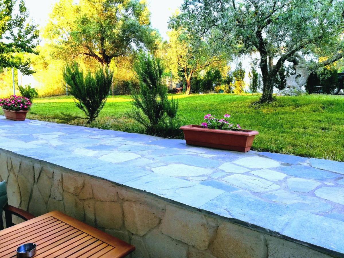 Apartamento - Planta baja