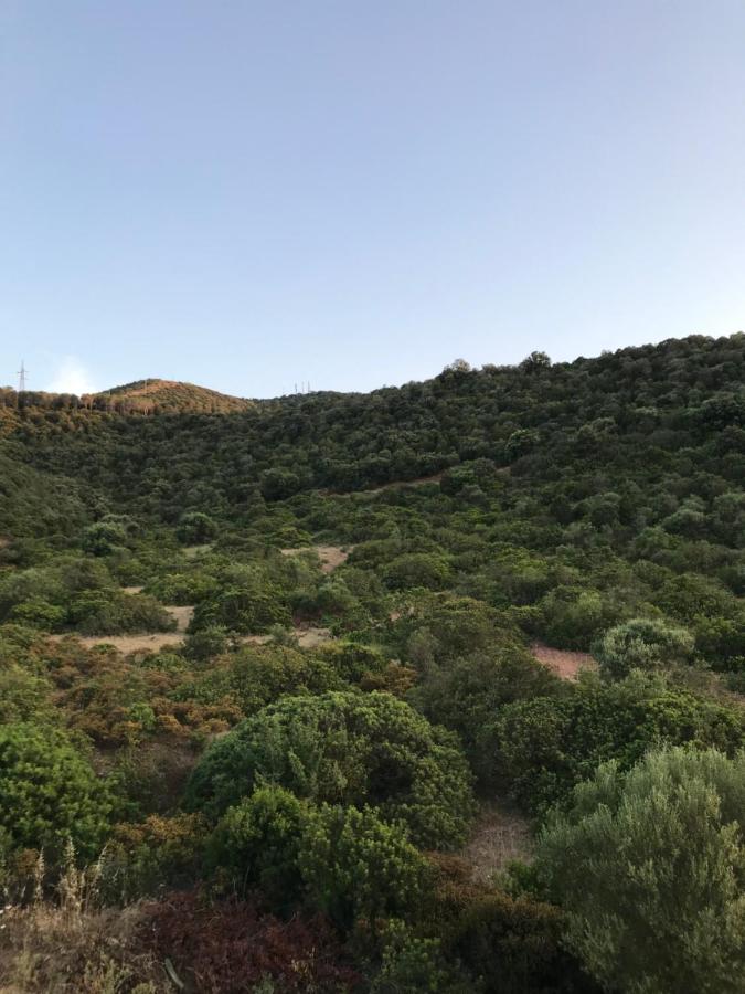 I Ginepri - Bed and Breakfast Teulada