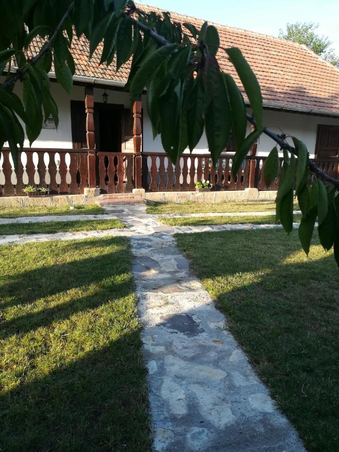 Bodrogparti Vendégház Sárazsadány - B&B Sárazsadány