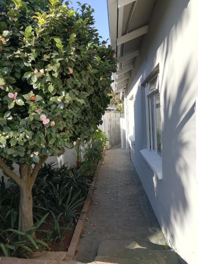 WILLOW GUEST HOUSE - B&B Boksburg