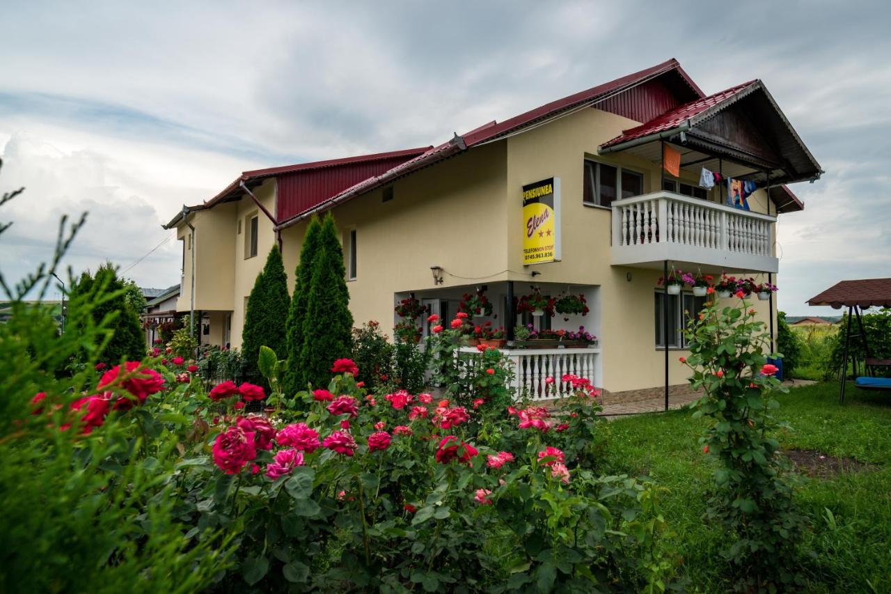 B&B Tăşnad - Pensiunea elena - Bed and Breakfast Tăşnad