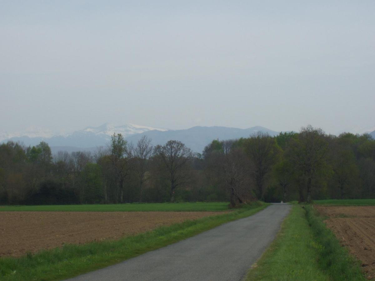 La petite danseuse - B&B Franquevielle