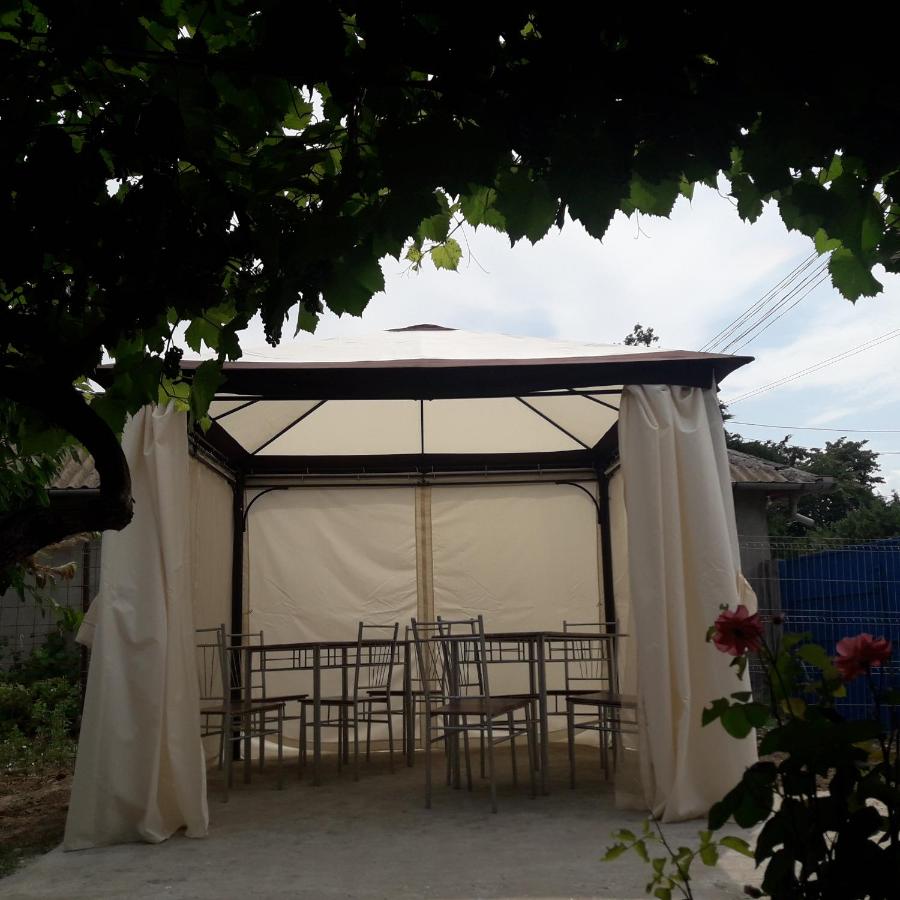 Casa Comoara mării - B&B