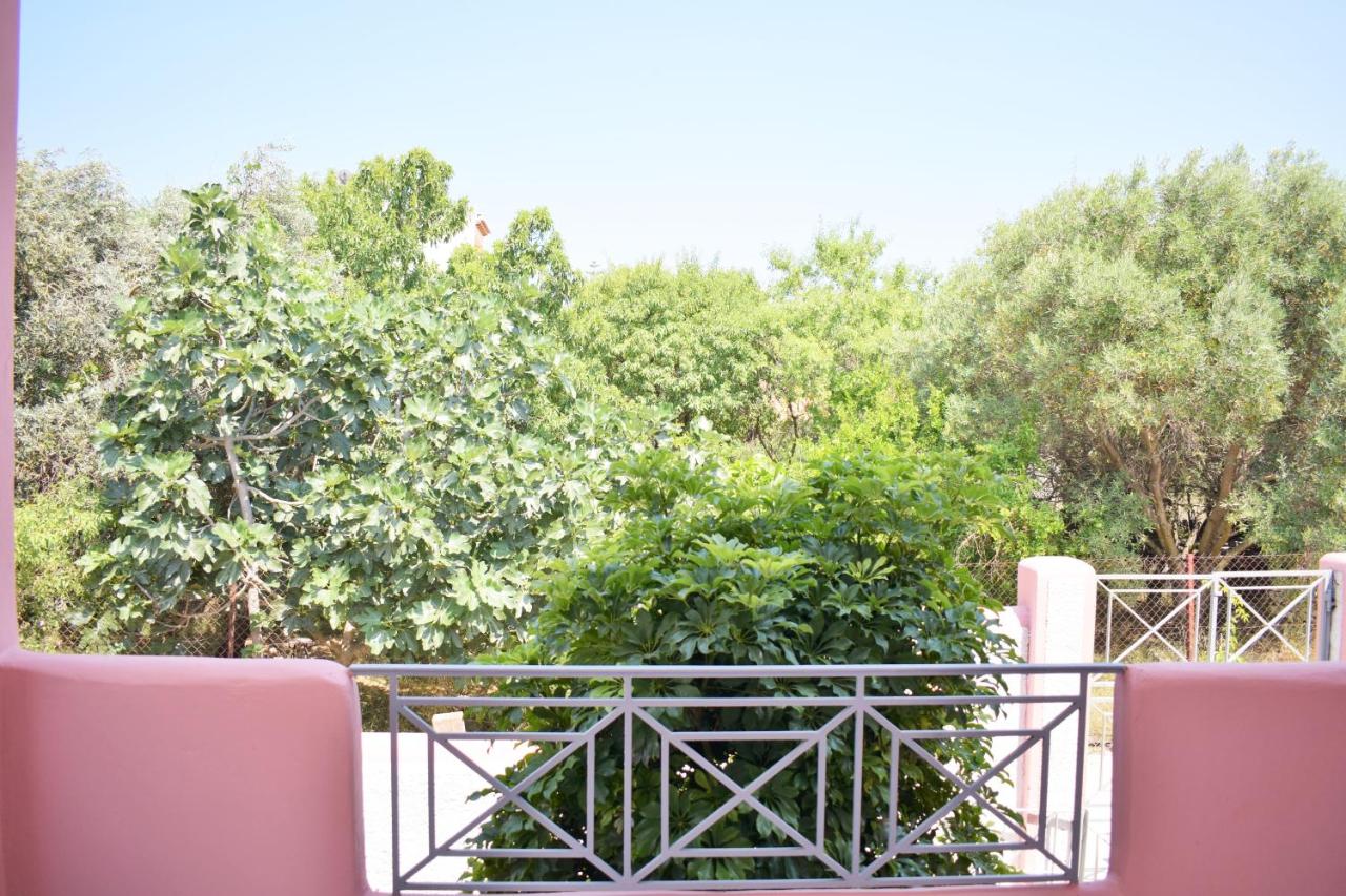 Urban nature - B&B Artémida