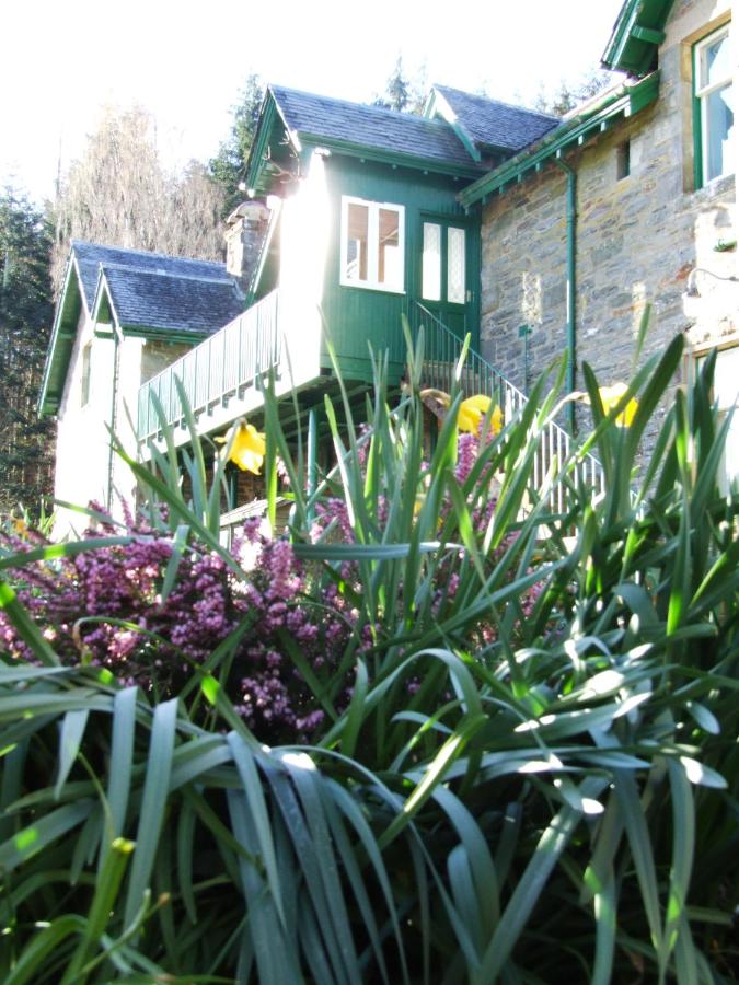 Auchmore Apartments - B&B