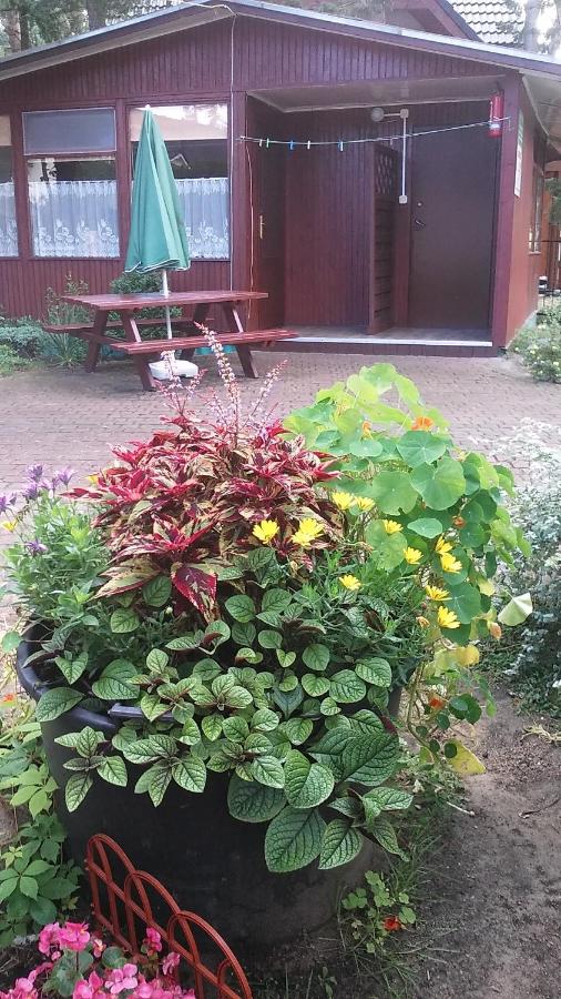 Domki Letniskowe u Stasia - B&B