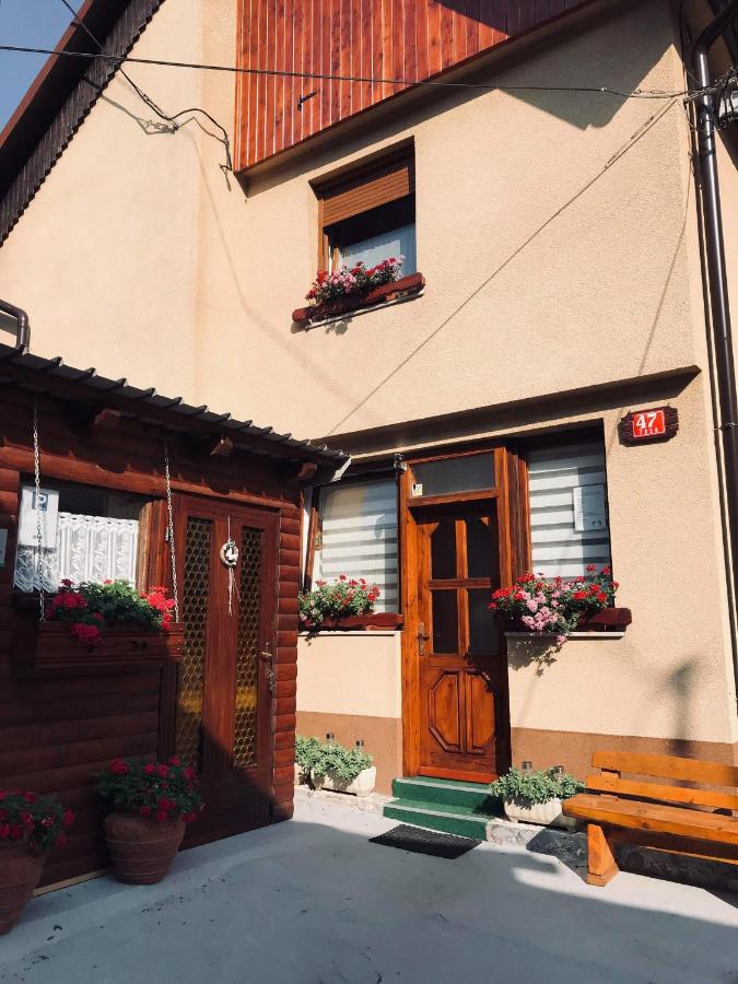 Apartma Evi - B&B Žaga