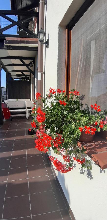 Apartment with Terrace (4 Adults)