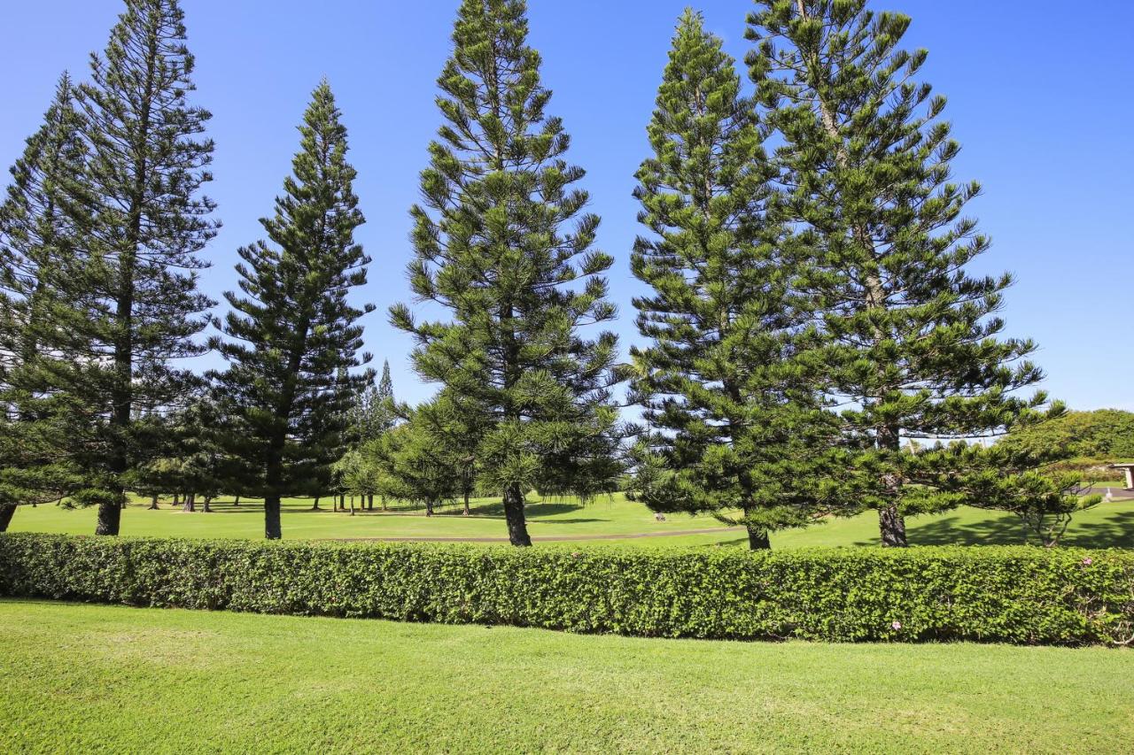 B&B Kahuku - Fazio First Tee 13 Condo - Bed and Breakfast Kahuku