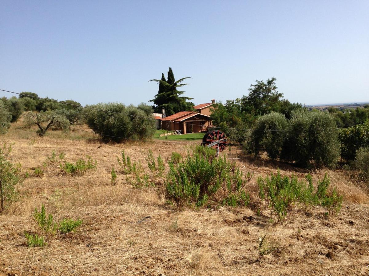 Agriturismo San Mauro - B&B Capalbio