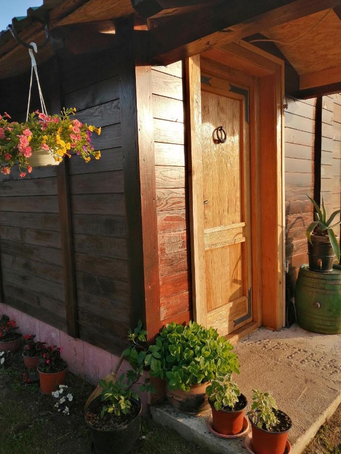 Vikendica RANKOVIĆI - B&B Mokra Gora