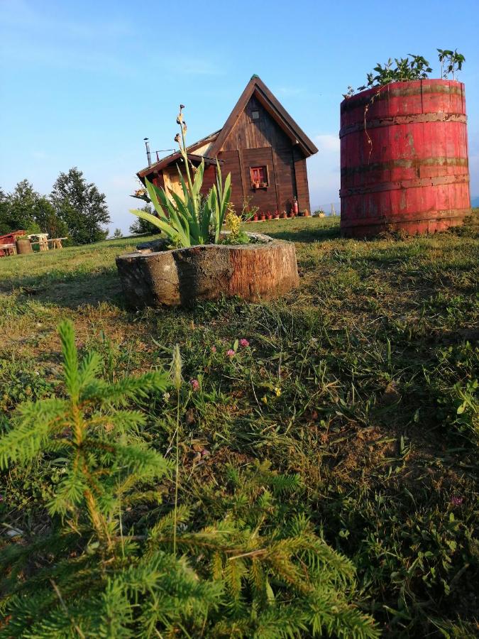 Vikendica RANKOVIĆI - B&B