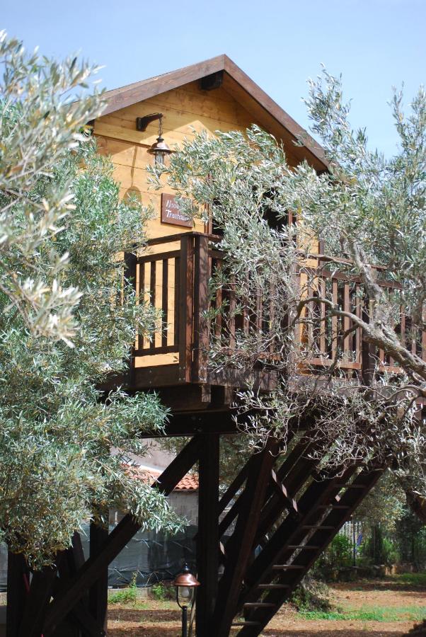 Walnut Tree House