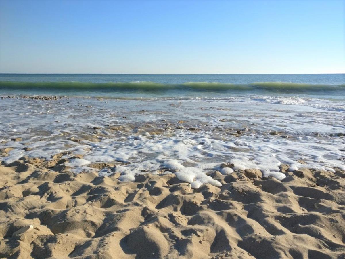 Derrière la plage : suite, patio et pergola - B&B Le Bois-Plage-en-Ré