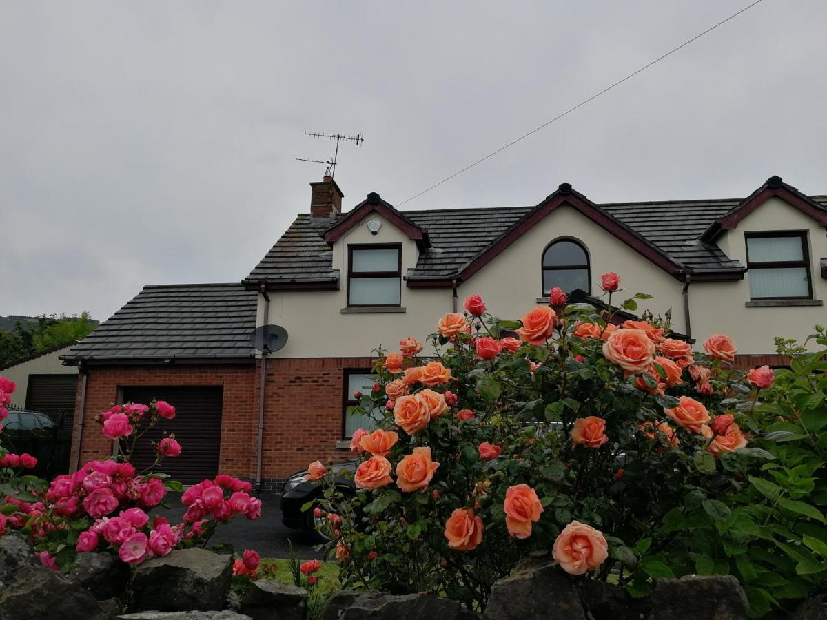 B&B Carrickfergus - Fox Heaven B&B - Bed and Breakfast Carrickfergus