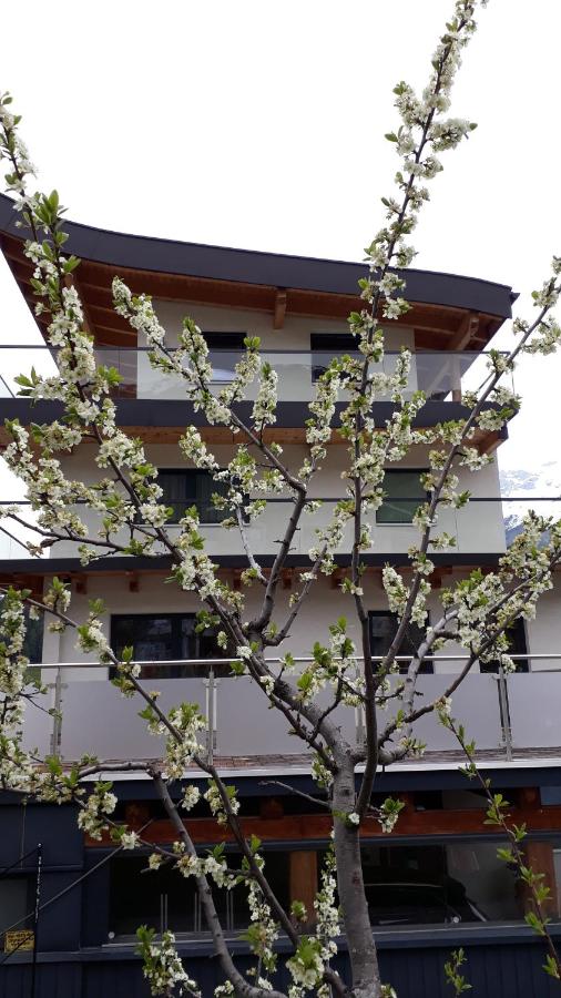 Apart Pedrolini - B&B Nodrio
