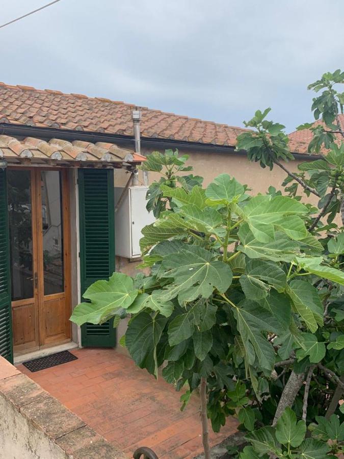 Casale Falcone - Calamoresca - B&B