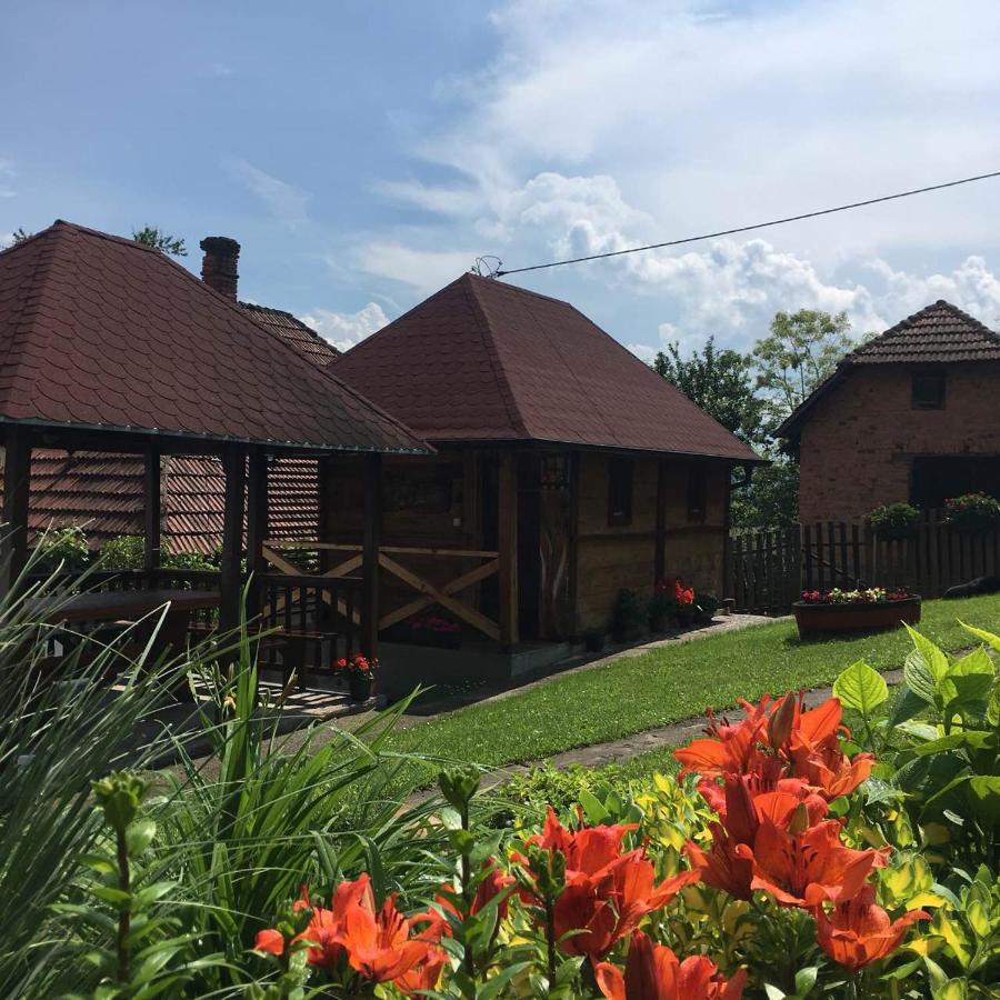 B&B Kosjerić - Domacinstvo Trnavac - Bed and Breakfast Kosjerić