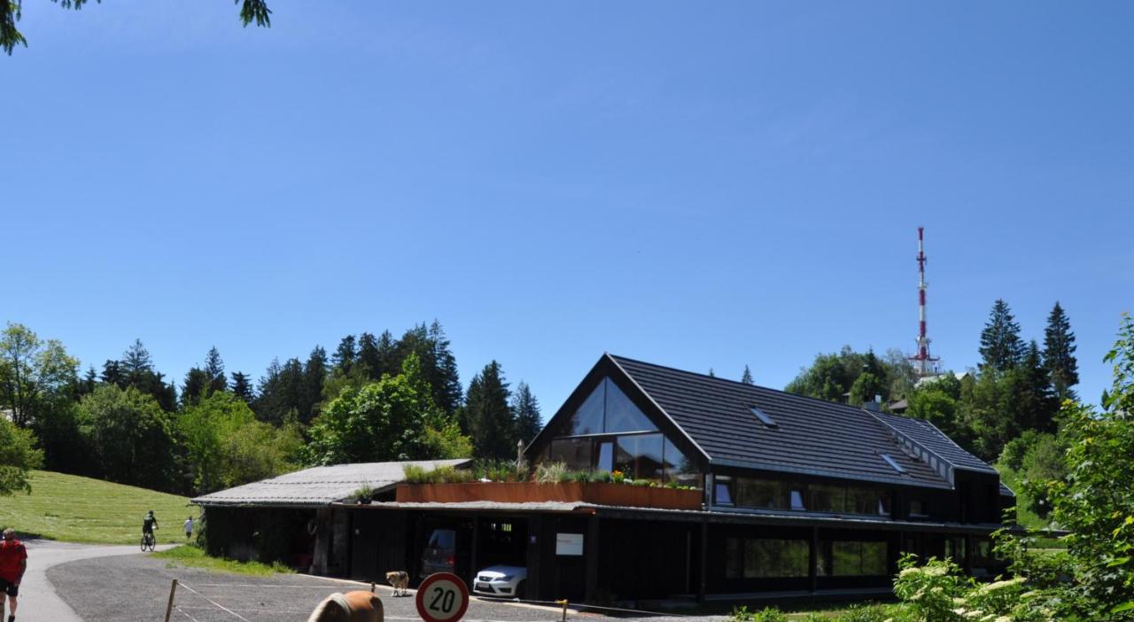 Ferienwohnung Reichart - B&B