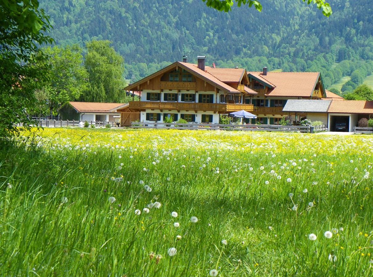 Ferienwohnungen am Lahnerbach - Ferienwohnung