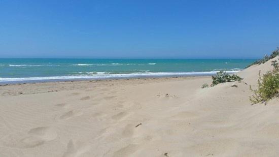 sul MARE e sotto le STELLE di ROCCAZZELLE-MANFRIA - B&B