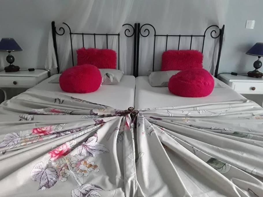 Appartamento con 1 Camera da Letto