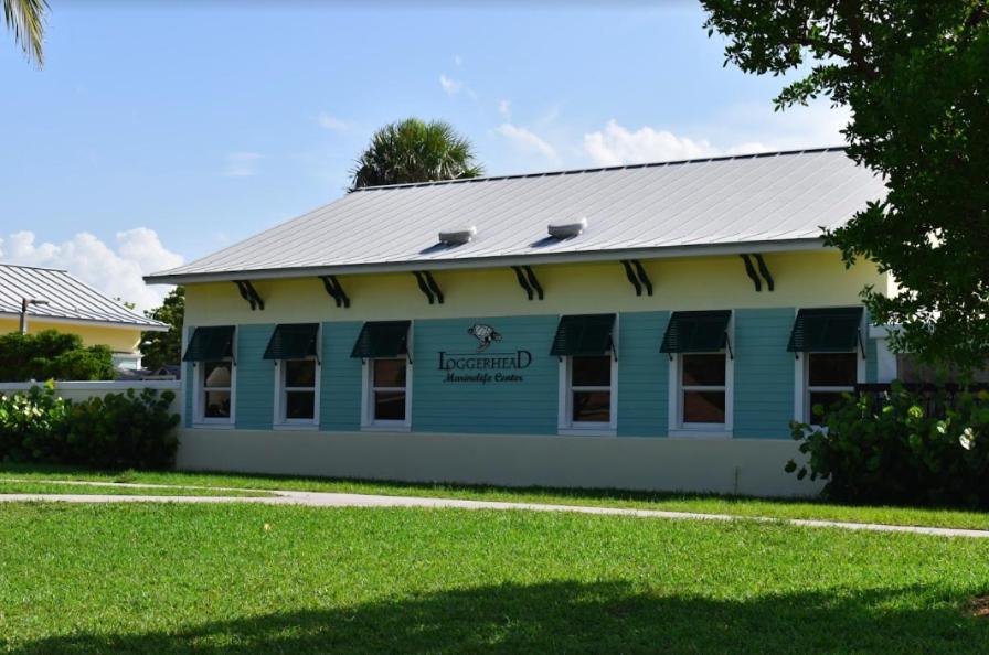 JUPITER WATERFALLS - NEWLY UPDATED - TIKI HUT, FIRE PIT, KITCHEN, POOL HEATER and MORE - Bed and Breakfast