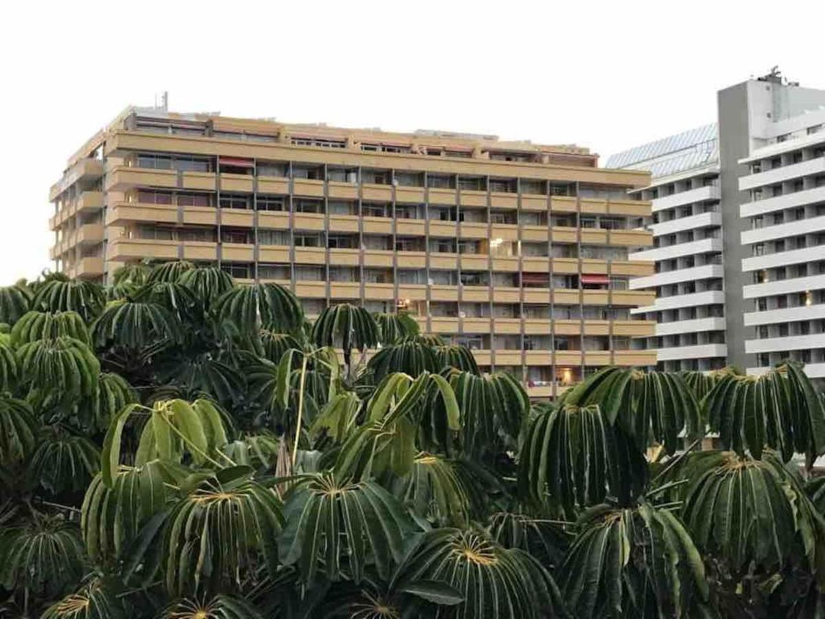 610 Suite con terraza Puerto de la Cruz Martianez - Chambres d’hôtes Puerto de la Cruz