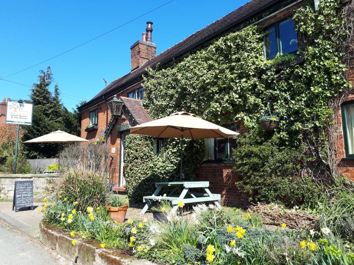 B&B Uttoxeter - Olive Tree Guest House - Bed and Breakfast Uttoxeter