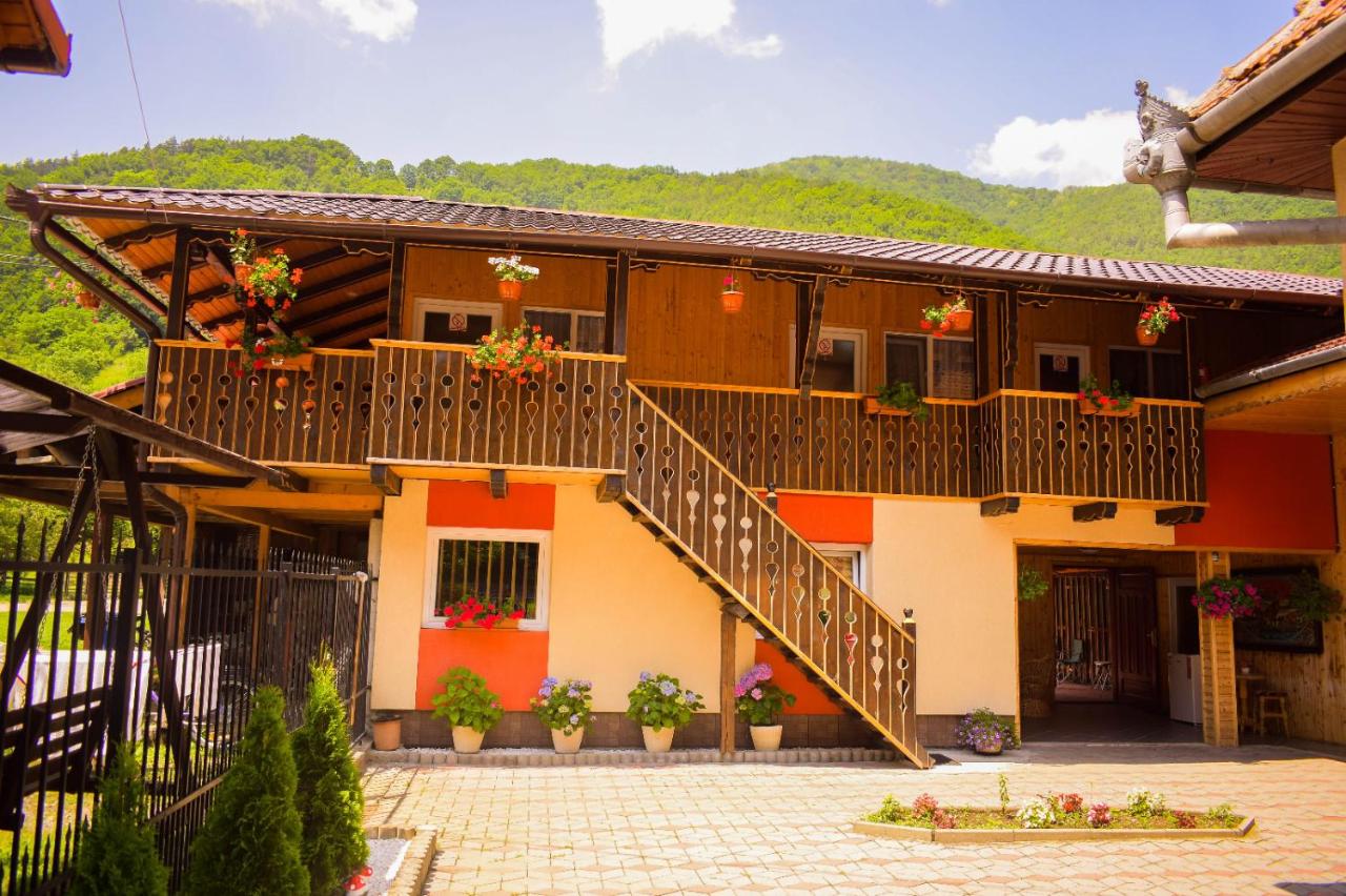 Pensiunea Casa Ioana - Bed and Breakfast