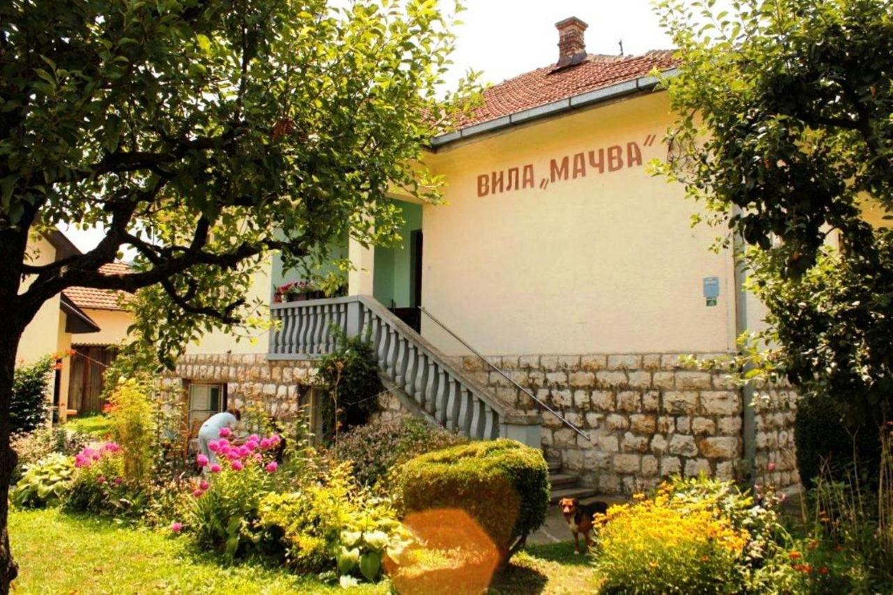 Apartments and rooms Villa Mačva - Banja Koviljača - Ferienwohnung