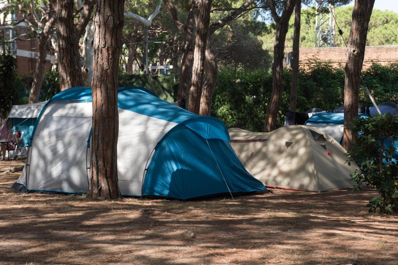 Camping 3 Estrellas