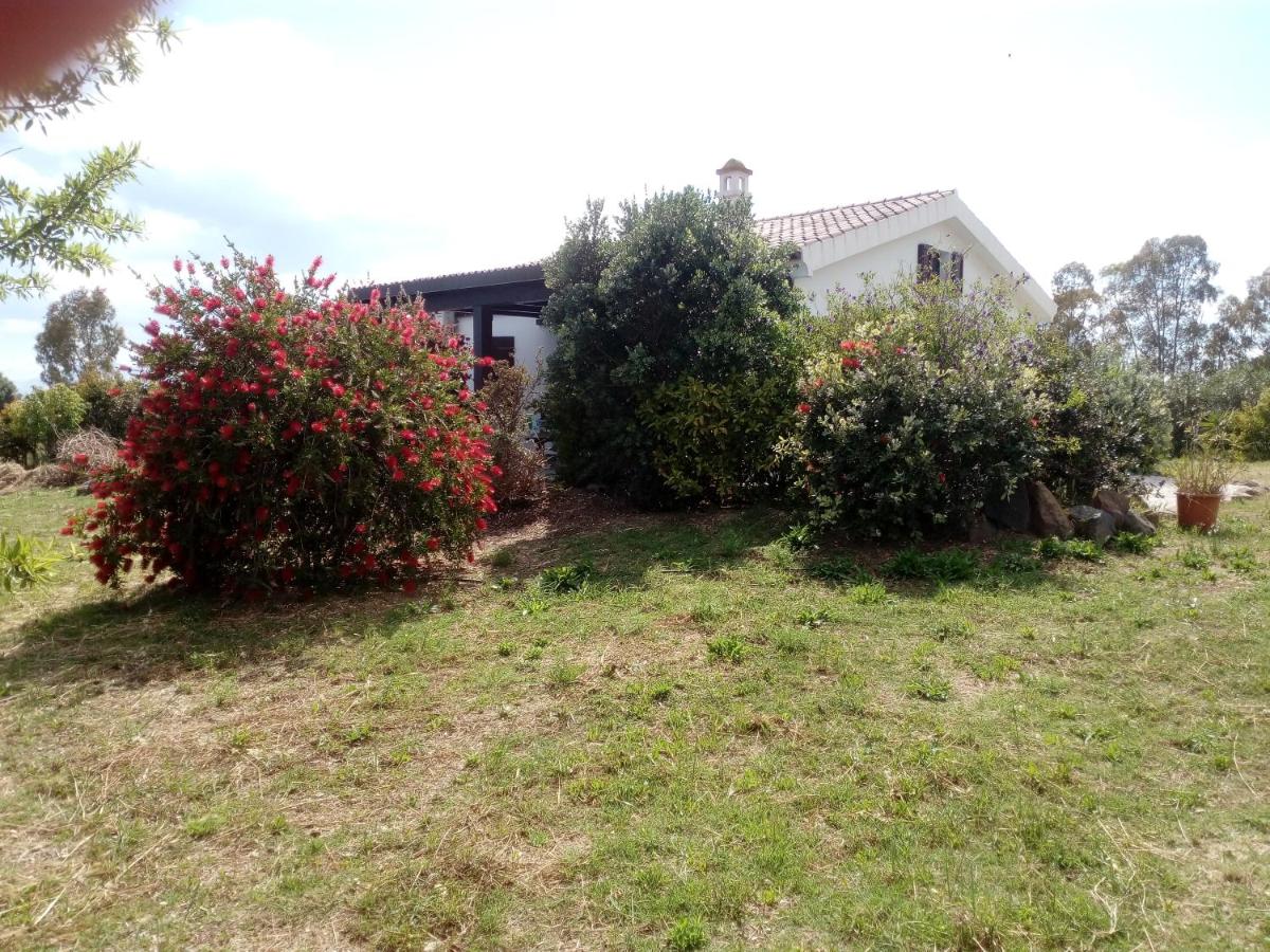 Casa Nerelie'S - B&B