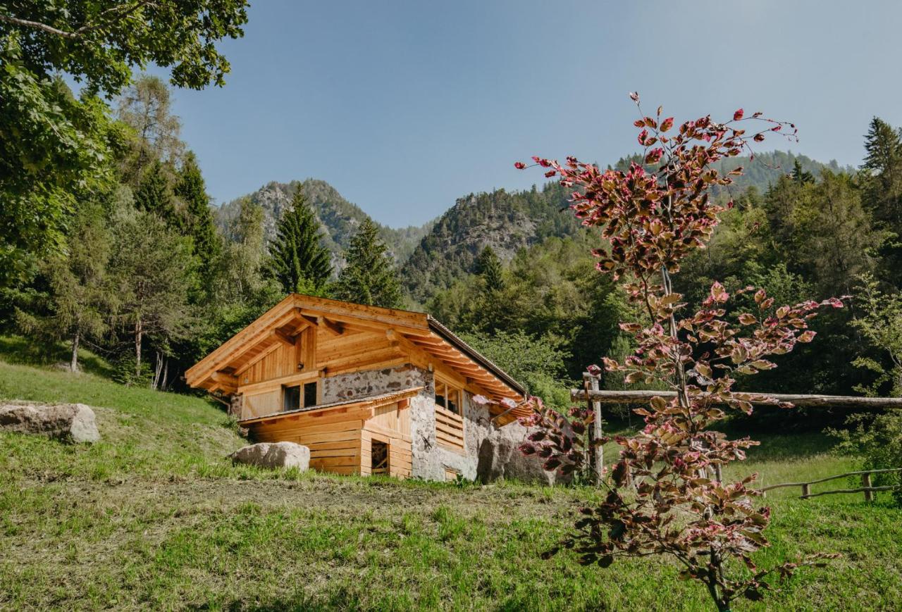 Odomi Maso nel Bosco - B&B