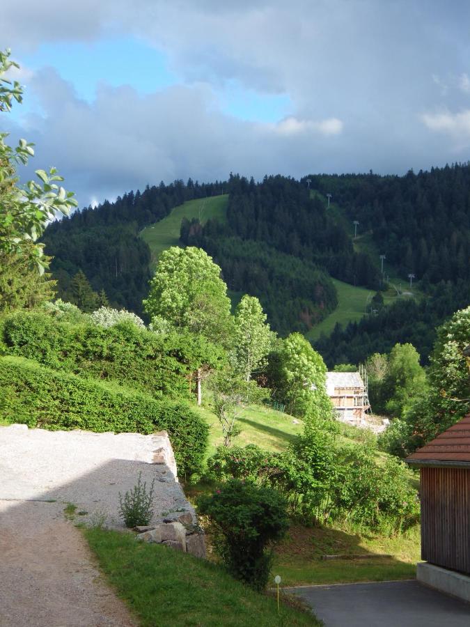 Au grenier du lac - B&B