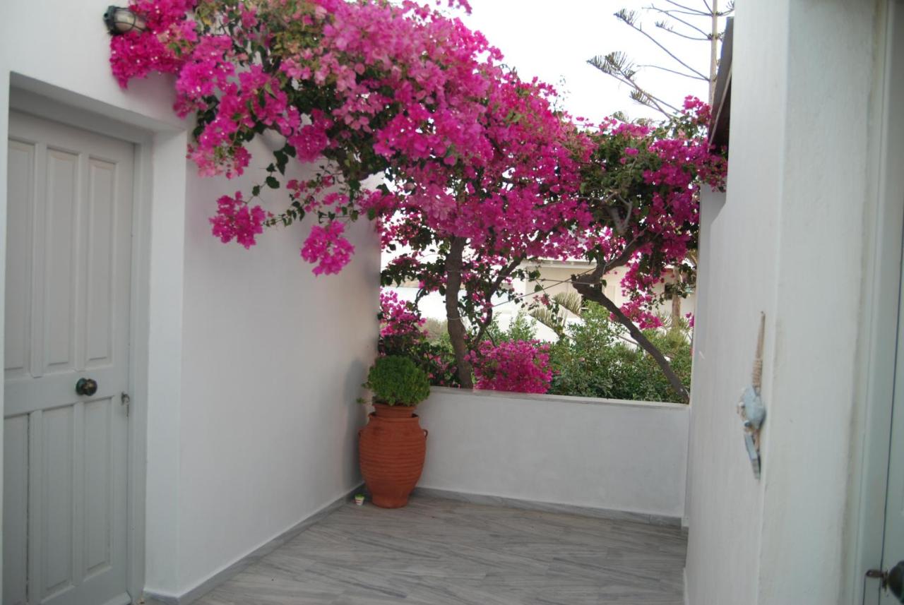 Monolocale con Terrazza
