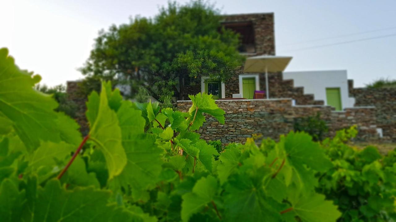 Cycladic Vineyard House - Ferienwohnung