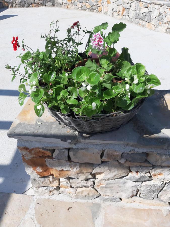 Villa de 1 dormitorio