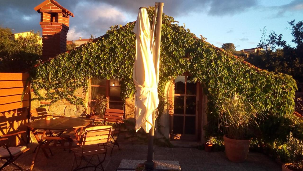 B&B Marezige - Istria Divina - Bed and Breakfast Marezige